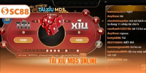 Tài Xỉu Md5 Online - Luật & Mẹo Đặt Cược Hiệu Quả 2025